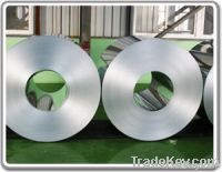 Hot dipped galvanized steel coil