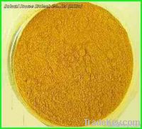 Goji Extract Powder