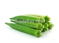 Fresh Okra