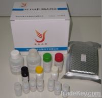 Aflatoxin B1 ELISA Kit