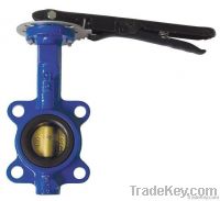 wafer type gear flanged Butterfly Valves From China