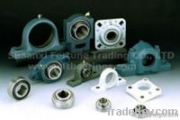 Pillow block bearing from SFT