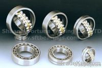 Spherical Roller Bearings from SFT