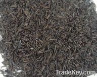 Carbonized Rice Husk