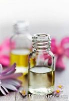 Essential Oils &amp; Fragrances