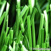 Double-stem soccer grass