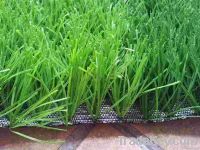 football artificial grass