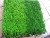 Soccer artificial grass