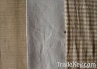 LC Yarn Dyed shirt fabric