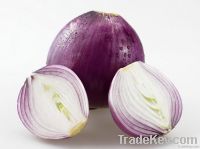 Onion