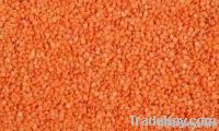 red lentils