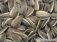 sunflower seeds