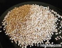 sesame seeds