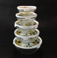 5 PCS Glass Bowl Set With heat transfer Design on Plastic Lid