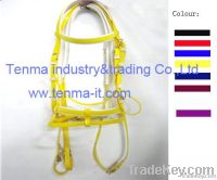 horse bridle and reins