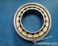 NSK Single Row Cylindrical Roller Bearing