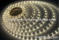 12V IP68 Waterproof SMD 3528 Led Light Strip