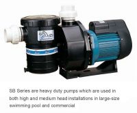 Pool Pump From China