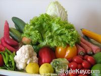 Fresh Vegetables