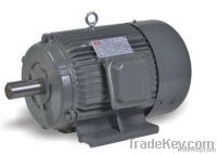 Y Series Three-Phase Asynchronous Motor