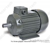 YS Series Three-Phase Induction Motor