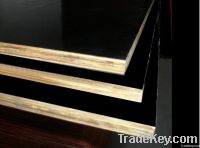1250x2500x21mm Film Faced Plywood / WBP/Imported