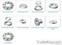 Stainless steel flange