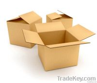 Recyclable cardboard box for shipping