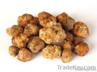 Italian White Truffles - Tuber Magnatum Pico