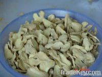 Dry Ginger Slice