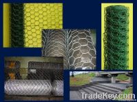 Hexagonal wire mesh