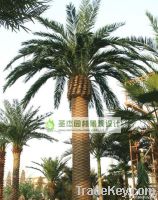 ARTIFICIAL SEAWEED TREE