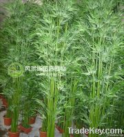 ARTIFICIAL BAMBOO