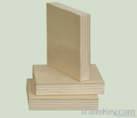 Commercial Plywood