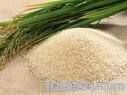 We Are Selling Top Quality Rice