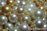 Cultured South Sea Pearls