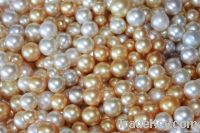 Cultured South Sea Pearls