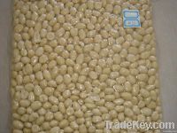 blanched peanut kernels