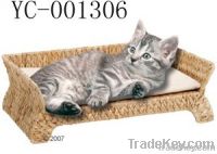 Cats trays From China