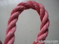 PP twisted rope