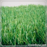 Sell New Arrival And High Quality Artificial Grass Carpet For home\gar