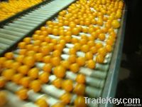 Fresh Orange