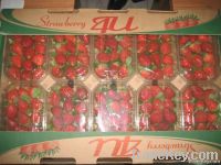 Fresh strawberry