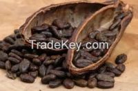 cocoa beans, cocoa powder, cocoa cream, cocoa oil, cocoa shell, cocoa seedlings