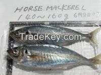 PINK SALMON FISH, SALMON FISH, FROZEN