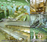 Equipment of poultry slaughtering and cutting