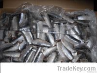 HGT Sardine