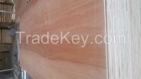 Sanding Plywood