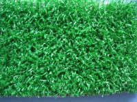 artificial lawn