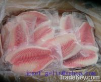 Frozen Tilapia Fillet